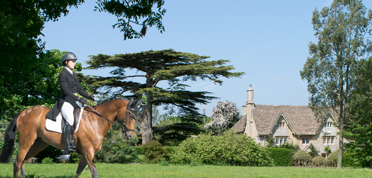 BEVERSTON HORSE panorama 1500 2